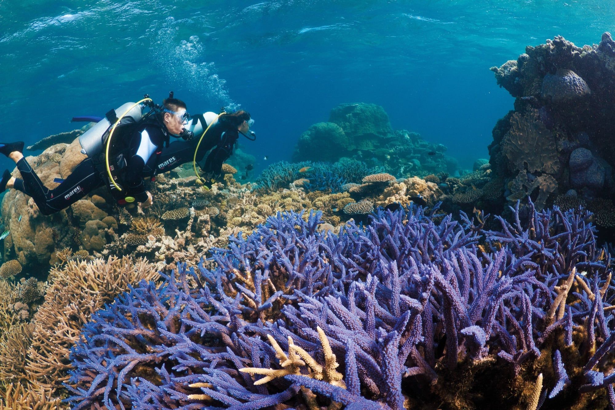 Top tips when visiting the great barrier reef balboa apartments